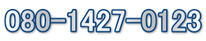 080-1427-0123